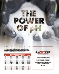 SurpHace Product Information.jpg